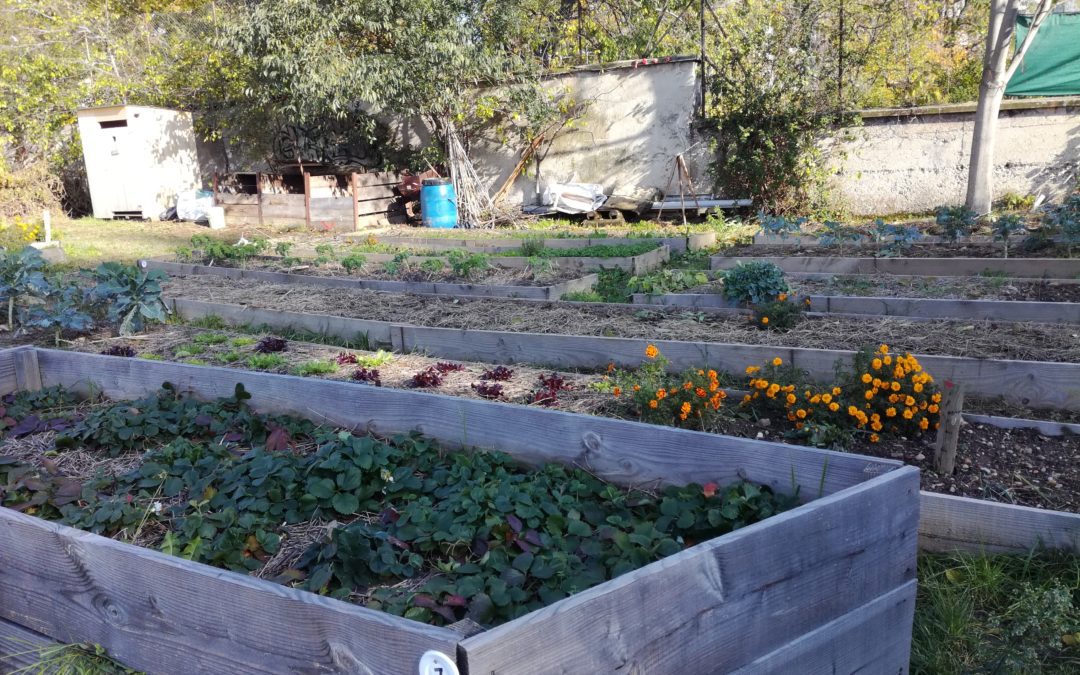 A propos du compost, présentation des méthodes et conseils