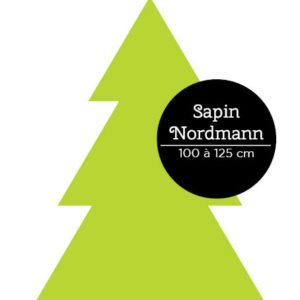 sapin Nordmann 100-125cm