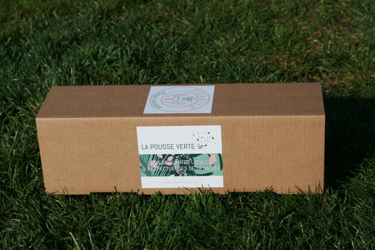 box plantes ecoresponsable box plantes ecoresponsable