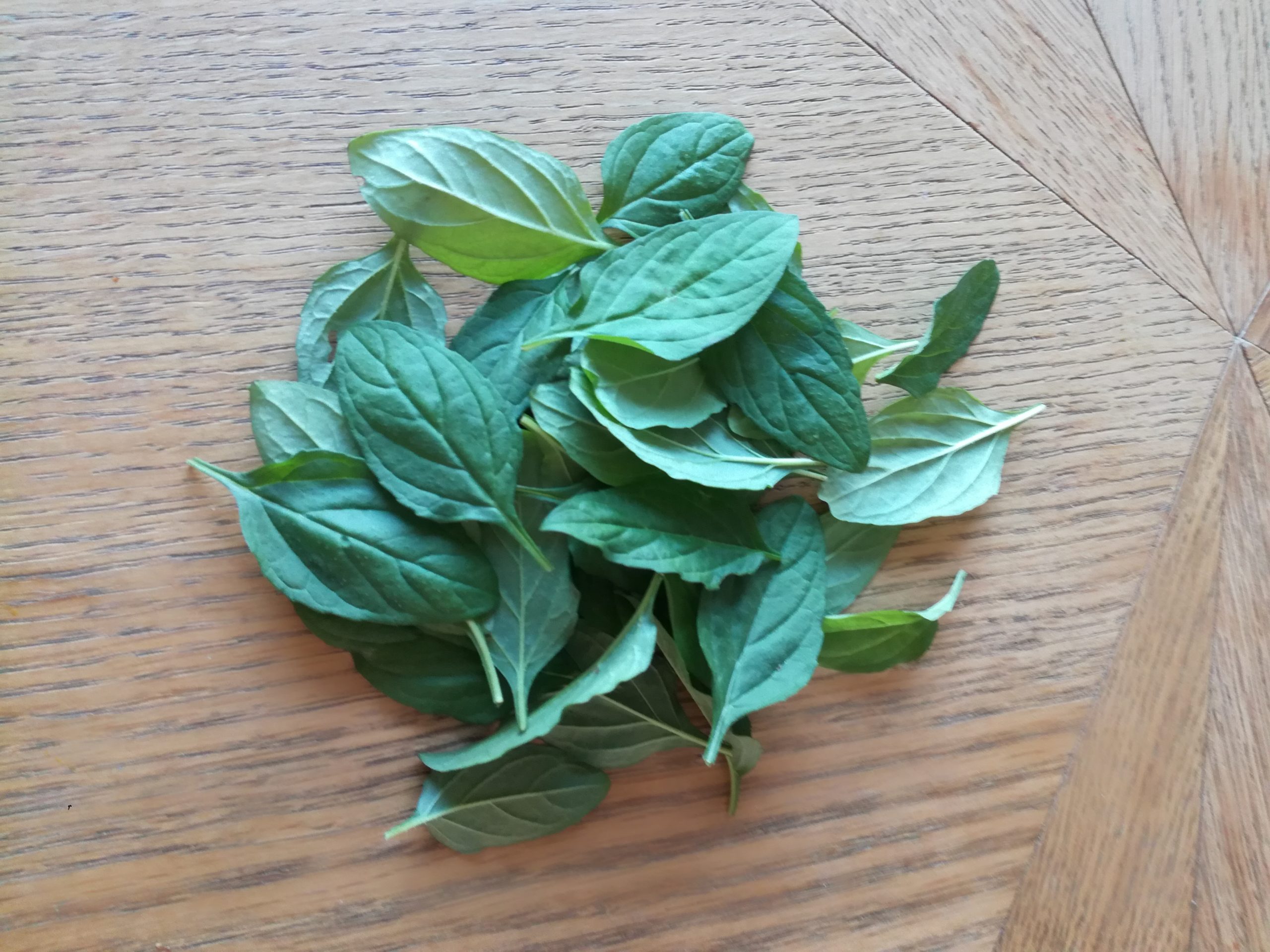 feuilles brunelle tisane recette