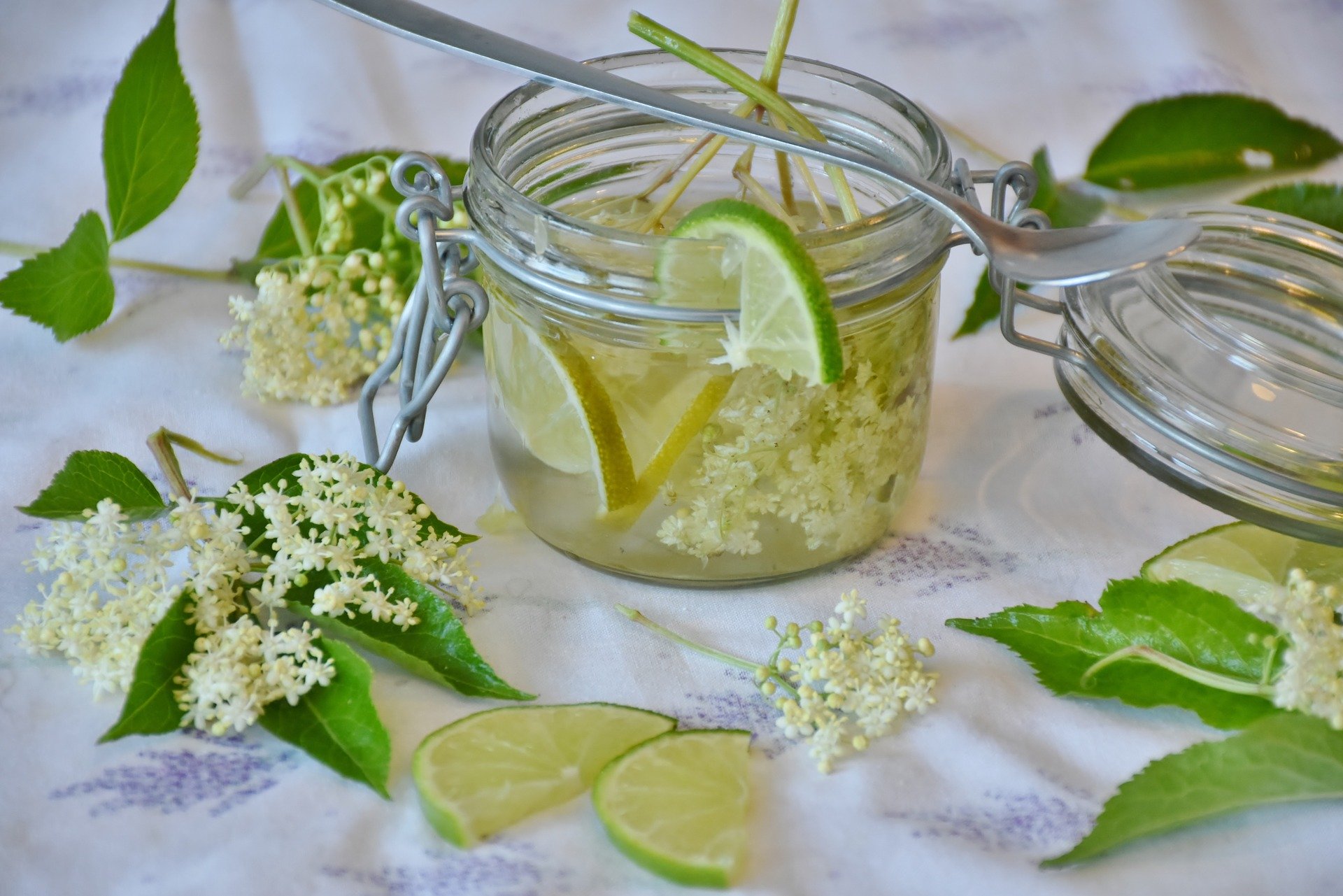 sirop de sureau, recette de cuisine, plante du mois, mai