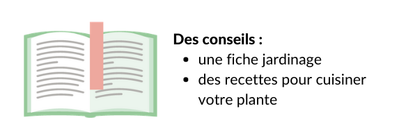 Image contenu box_conseils Image contenu box_conseils