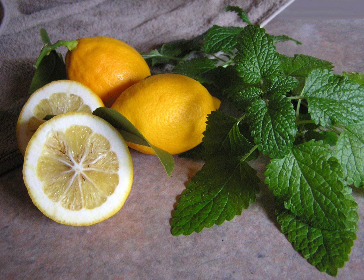 melisse plante arome citron melisse plante arome citron