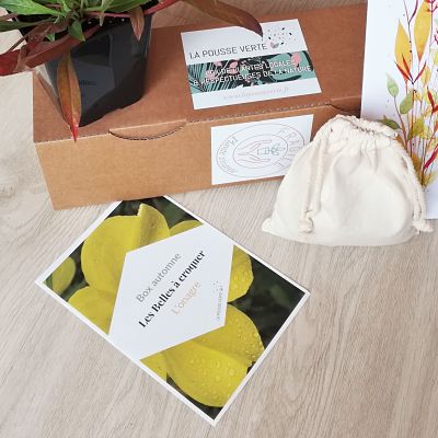 conseils jardinage plante conseils jardinage plante