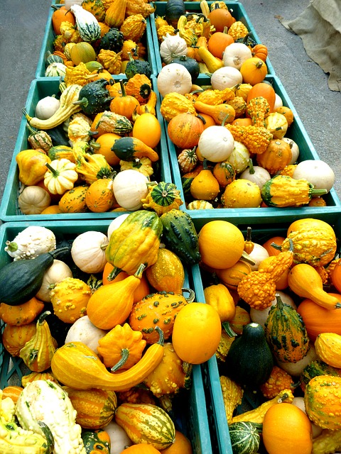 courges citrouille familles