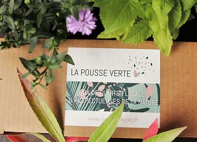 box plantes ecoresponsable comestible