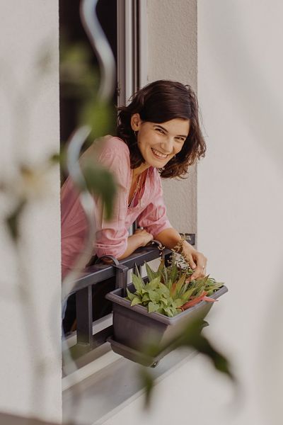 box plantes balcon