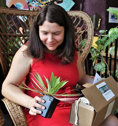 box plantes fleurs offrir