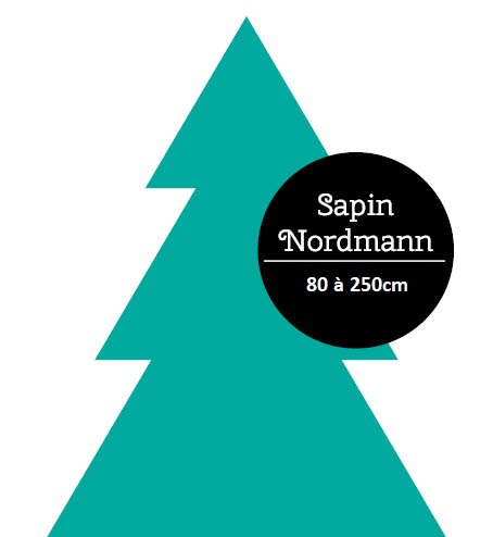 sapin nordmann lyon non traité