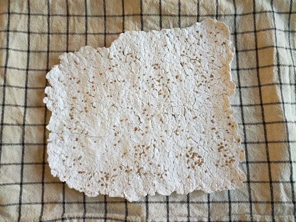 diy papier ensemencé graines diy papier ensemencé graines