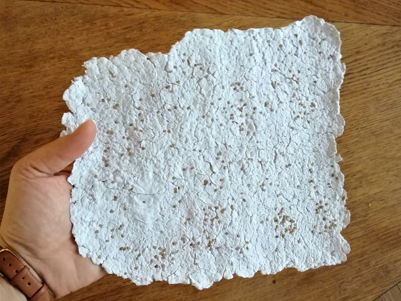 Le tuto DIY du mois : réaliser du papier ensemencé