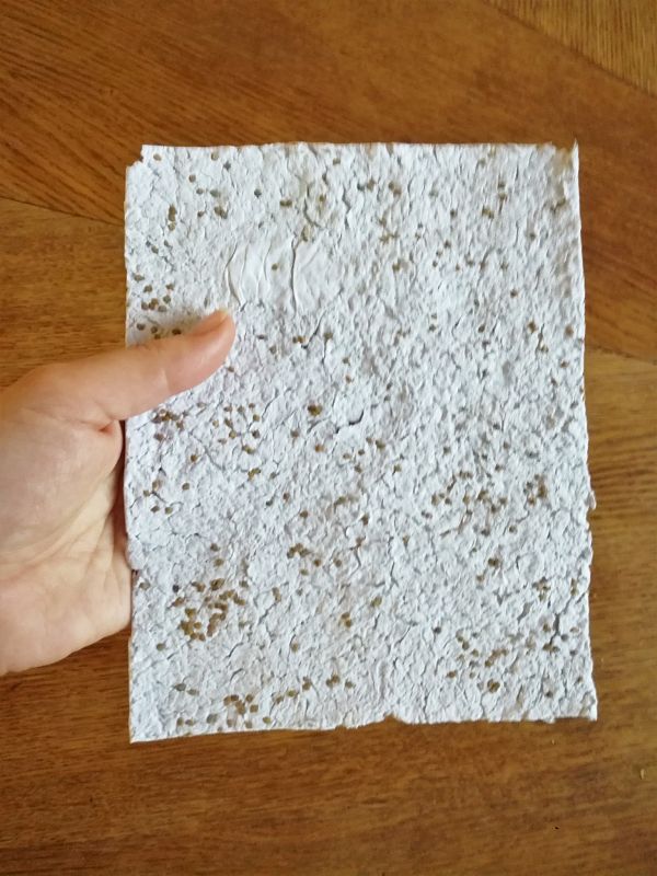 tuto diy papier graines noel tuto diy papier graines noel