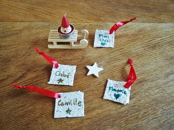 tuto diy papier ensemencé noel