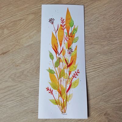 box cadeau plantes illustration automne