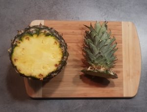 plante ananas bouture plante ananas bouture