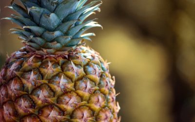 Tuto DIY du mois : réaliser une bouture d’ananas