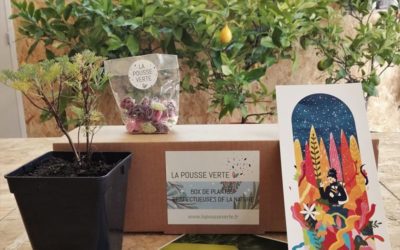 La box de plantes de l’hiver 2020-2021