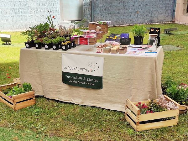 evenement plante lyon ecoresponsable la pousse verte