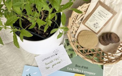 La box de plantes écoresponsable de l’été 2021