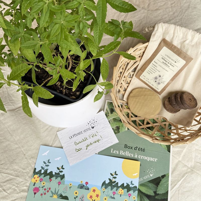 box plante jardinage ecoresponsable