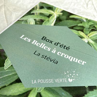 conseils jardinage plante ecoresponsable cadeau