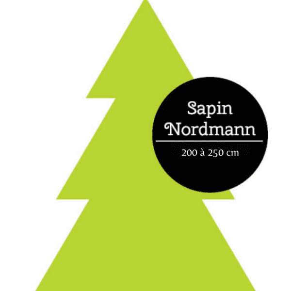 sapin nordmann lyon livraison