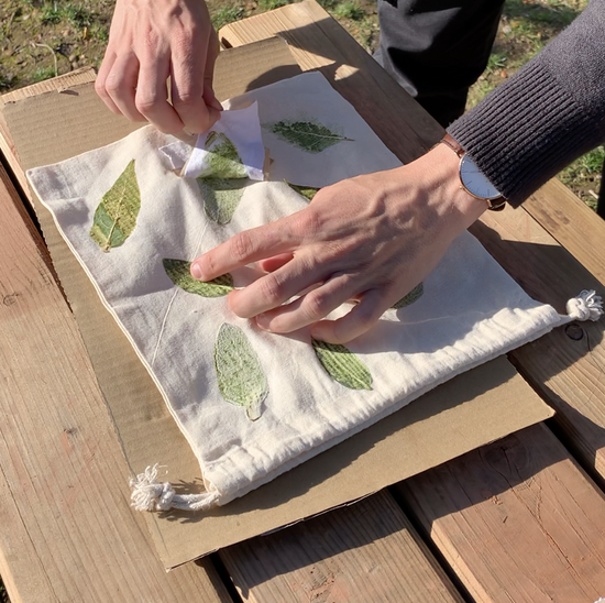 tuto tataki zome impression végétale feuilles