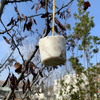 Boules de Graisse Virara. Pour aider les oiseaux en temps froid.