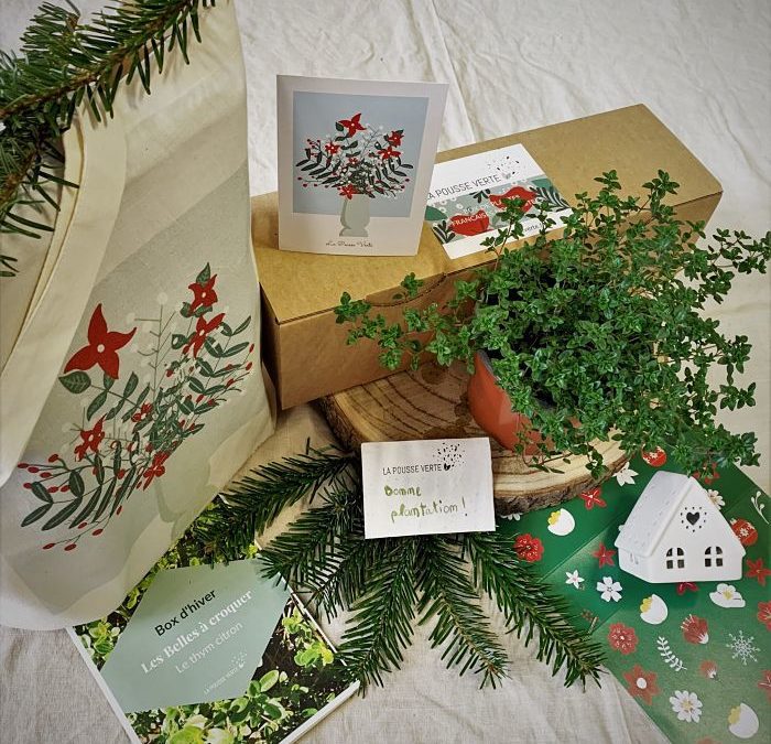 box plante ecoresponsable cadeau