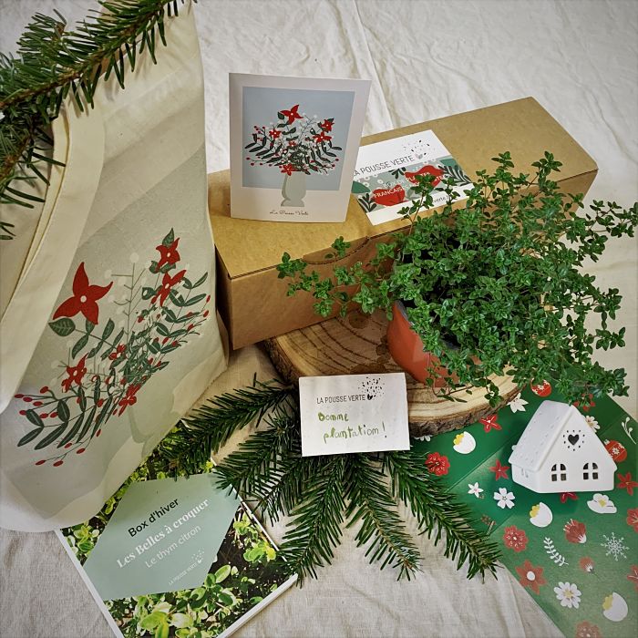 box plante ecoresponsable cadeau