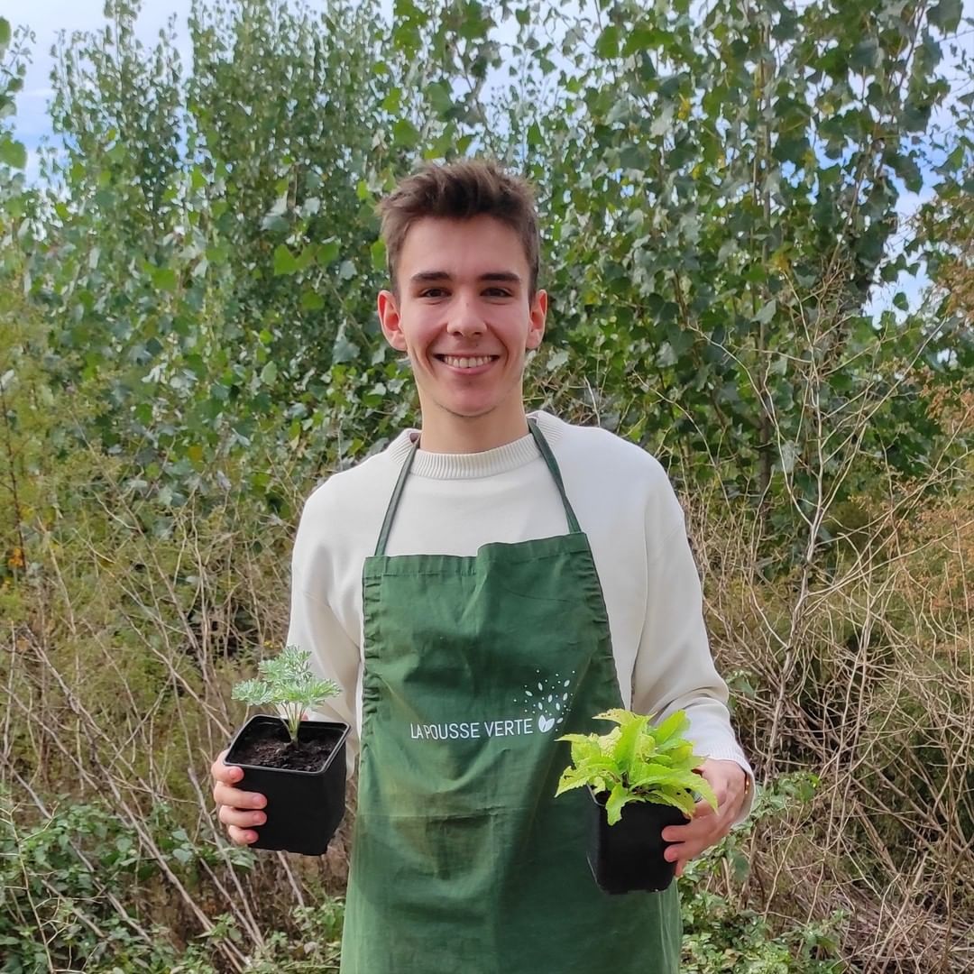 la pousse verte lyon plantes jardinage