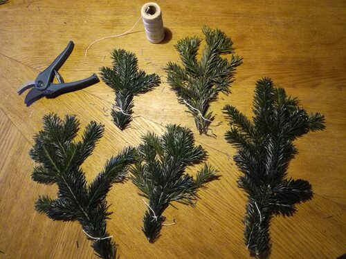 branchage sapin branchage sapin