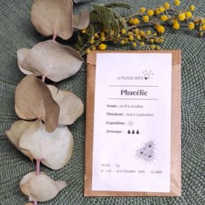 graines phacélie fleur mellifère sachet