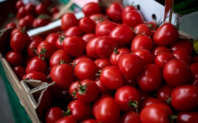 Recettes de cuisine avec la tomate cerise