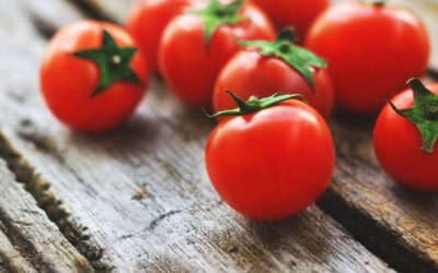 La tomate cerise rose perlée, conseils jardinage pour votre plante