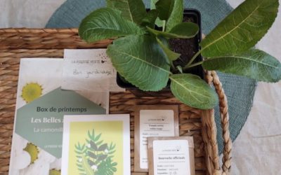 La box de plantes écoresponsable du printemps 2022