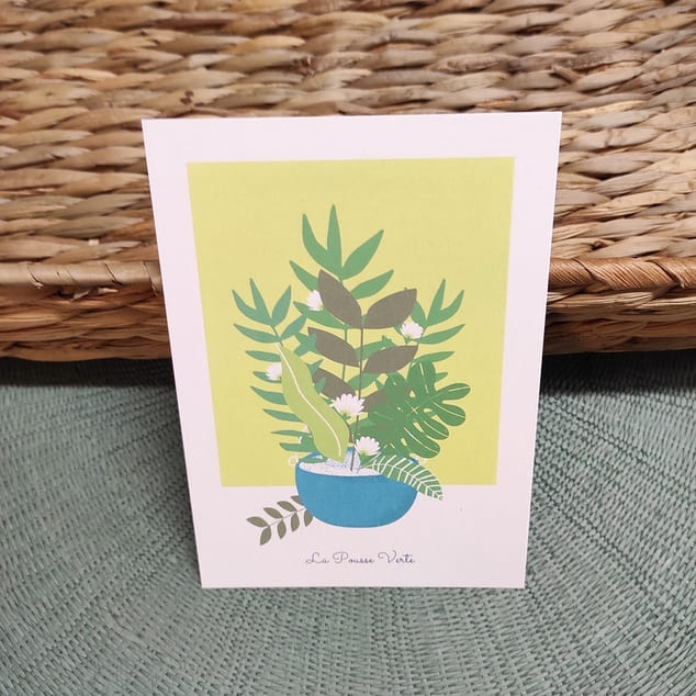box plante Illustration printemps 22