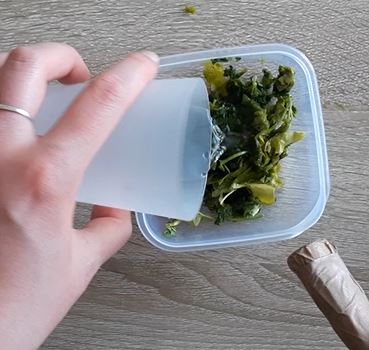 tuto peinture végétale vert persil tuto peinture végétale vert persil