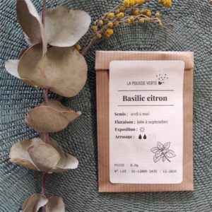 graines basilic citron plante comestible aromatique sachet