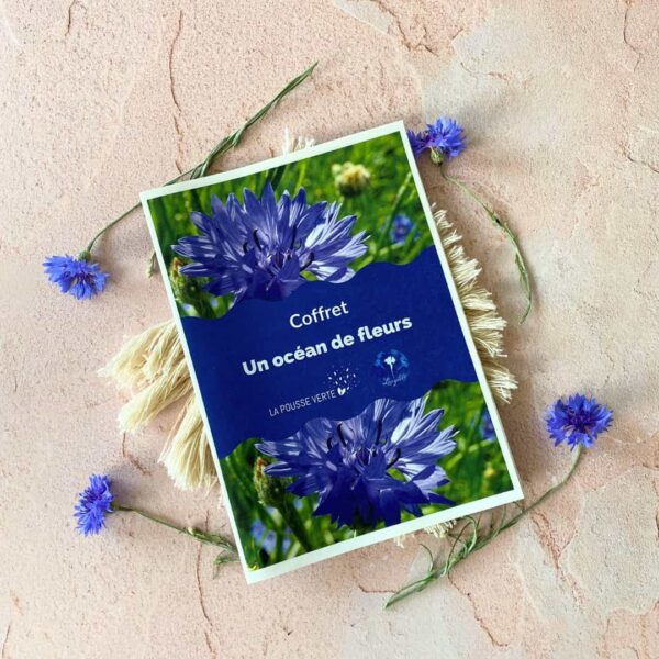 coffret océan fleurs bleues cyanotype jardinage créatif