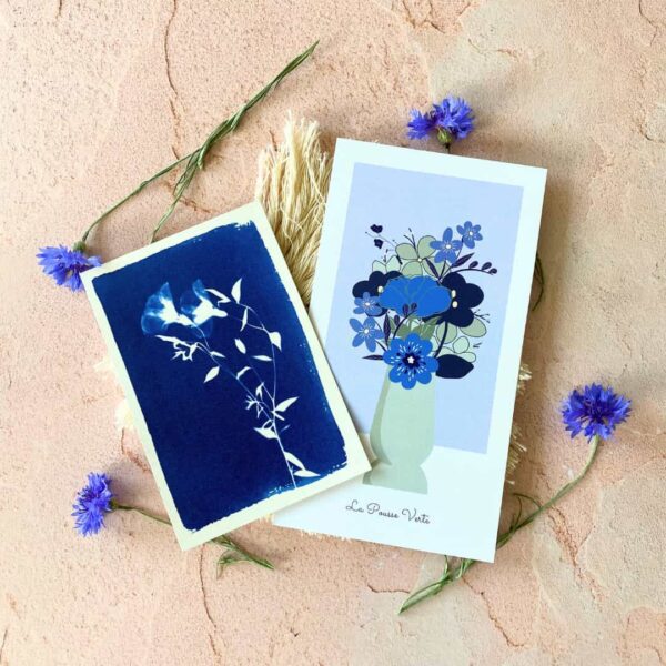 coffret océan fleurs bleues cyanotype jardinage créatif