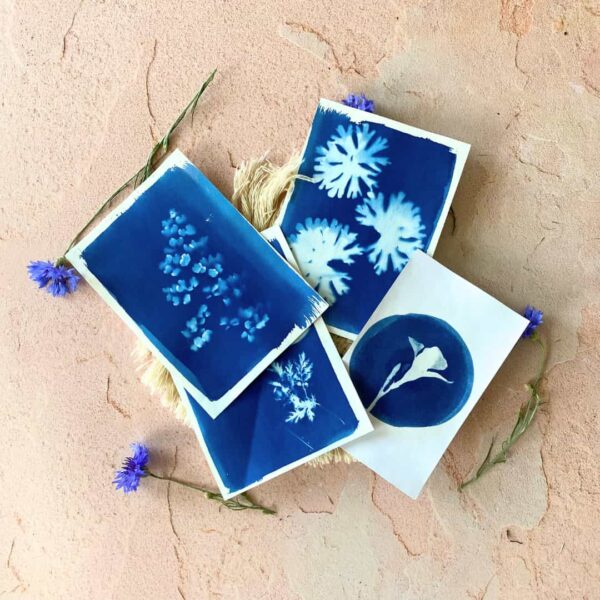 coffret océan fleurs bleues cyanotype jardinage créatif