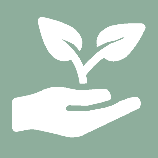 plante nature logo