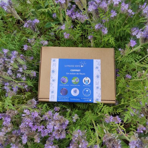 coffret un océan de fleurs bleues cyanotype