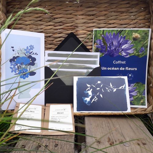 coffret un océan de fleurs bleues cyanotype