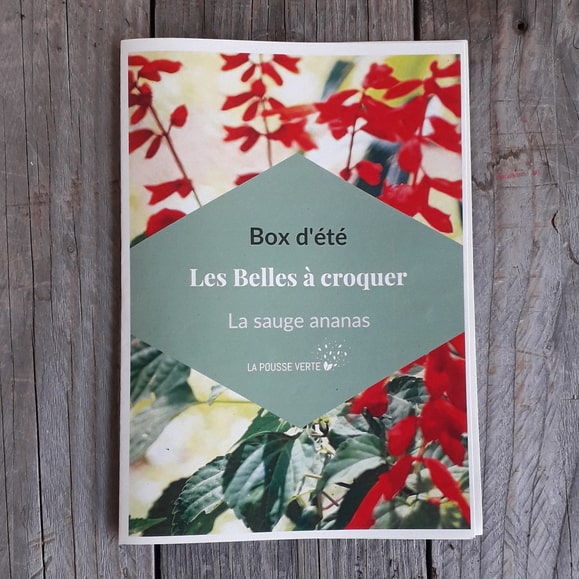 feuillets box printemps 22