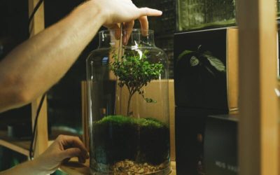 Tuto DIY : faire un terrarium