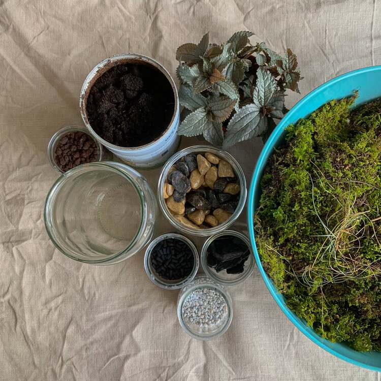 terrarium tuto