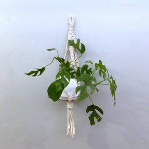 suspension macramé plante kit diy