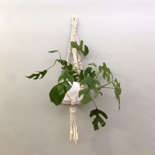 tuto suspension plantes macramé